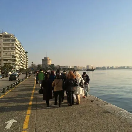 Daire χρυσανθέμων 5