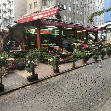χρυσανθέμων 5 Daire Selanik